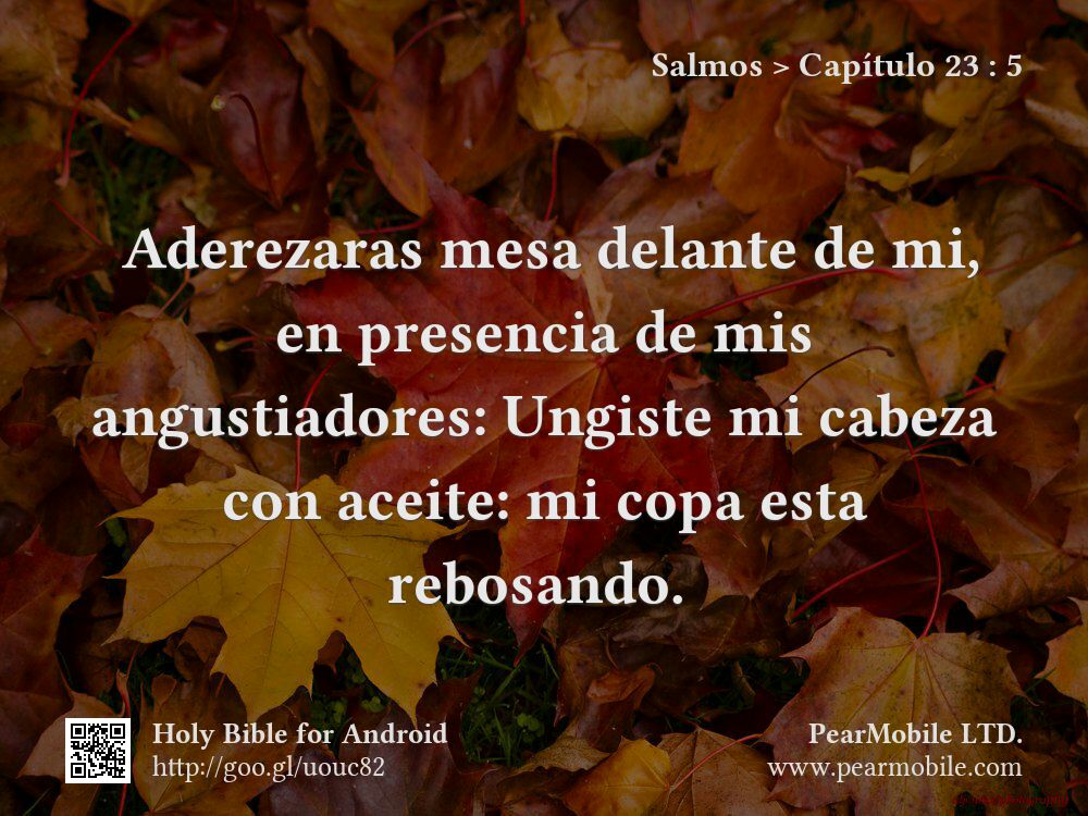 Salmos, Capítulo 23:5